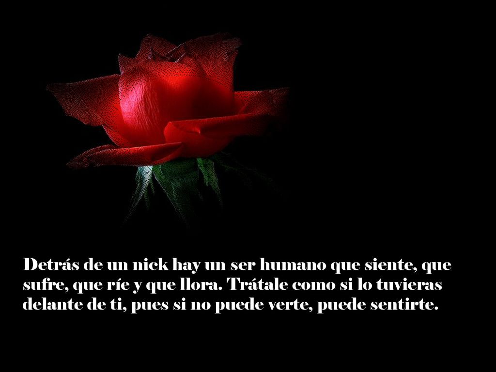Detrás de un nick hay un ser humano que siente, que sufre, que ríe y que llora.