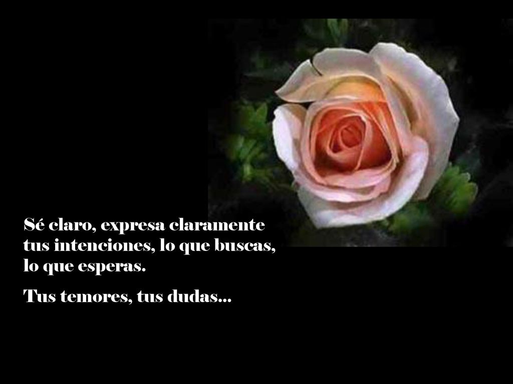 Sé claro, expresa claramente tus intenciones, lo que buscas, lo que esperas.