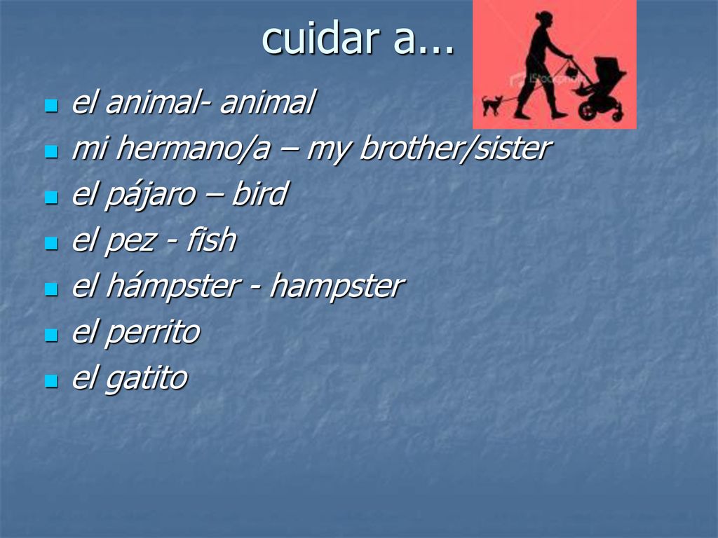 cuidar a... el animal- animal mi hermano/a – my brother/sister