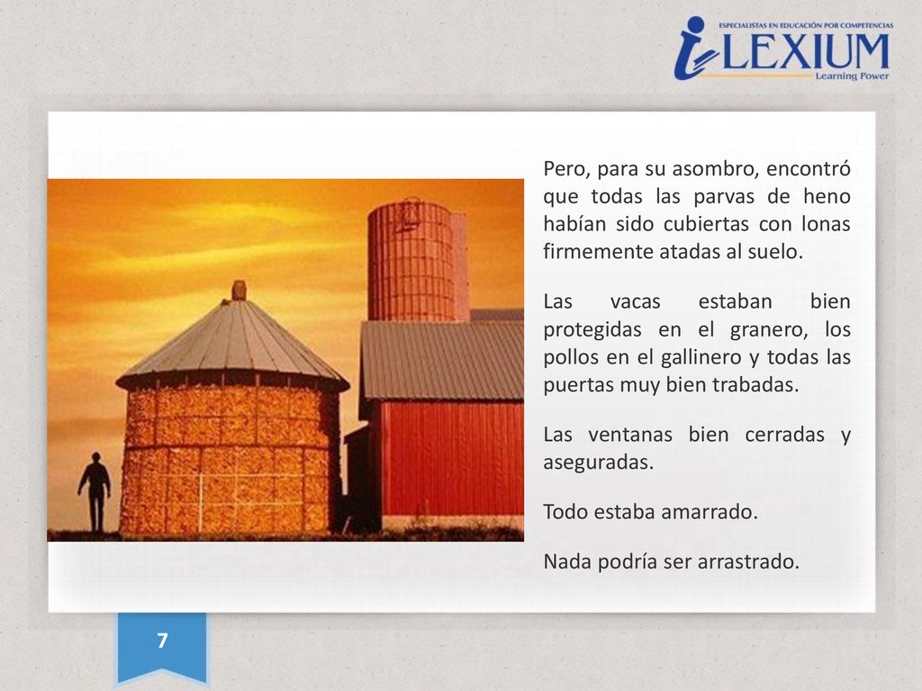 Pero, para su asombro, encontró que todas las parvas de heno habían sido cubiertas con lonas firmemente atadas al suelo.