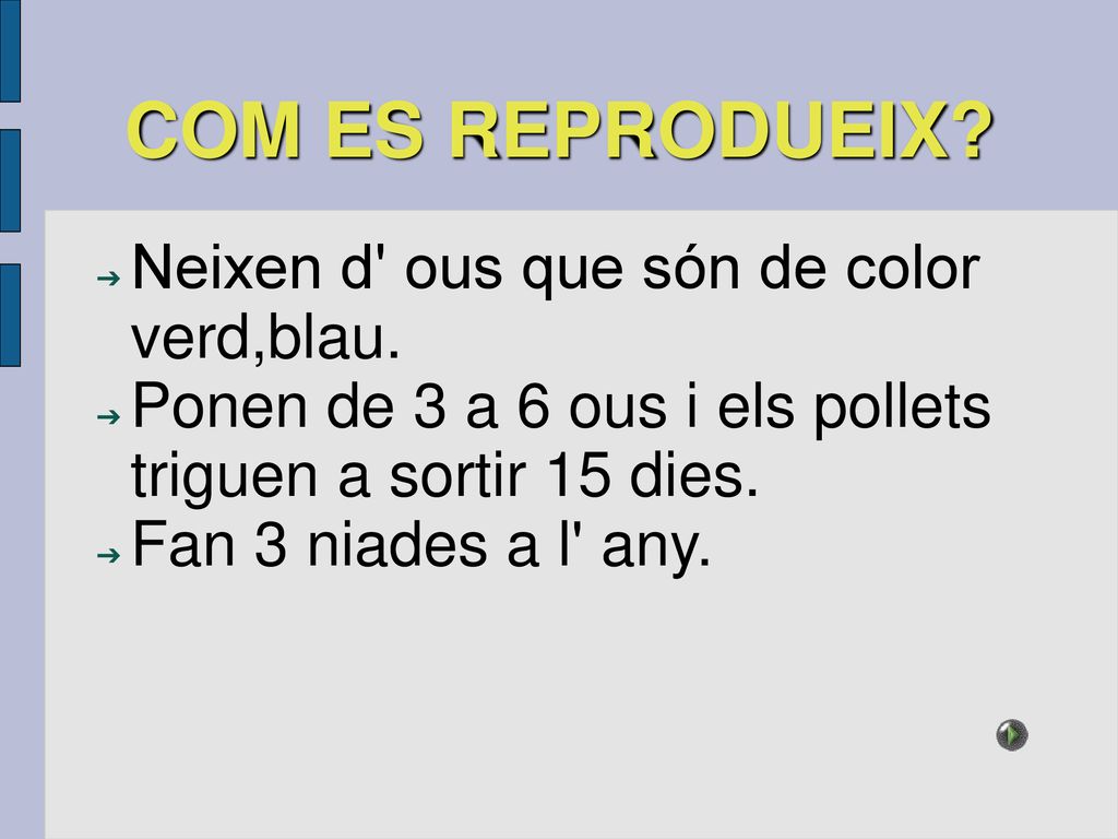 COM ES REPRODUEIX Neixen d ous que són de color verd,blau.