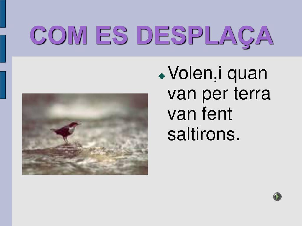 COM ES DESPLAÇA Volen,i quan van per terra van fent saltirons.