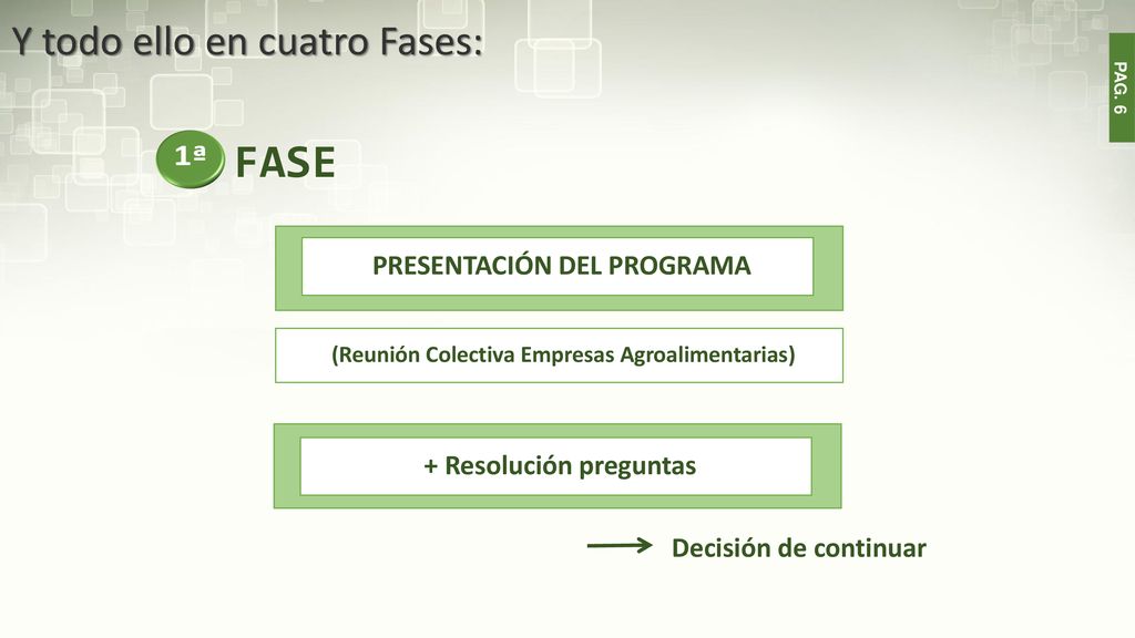 FASE Y todo ello en cuatro Fases: 1ª PRESENTACIÓN DEL PROGRAMA