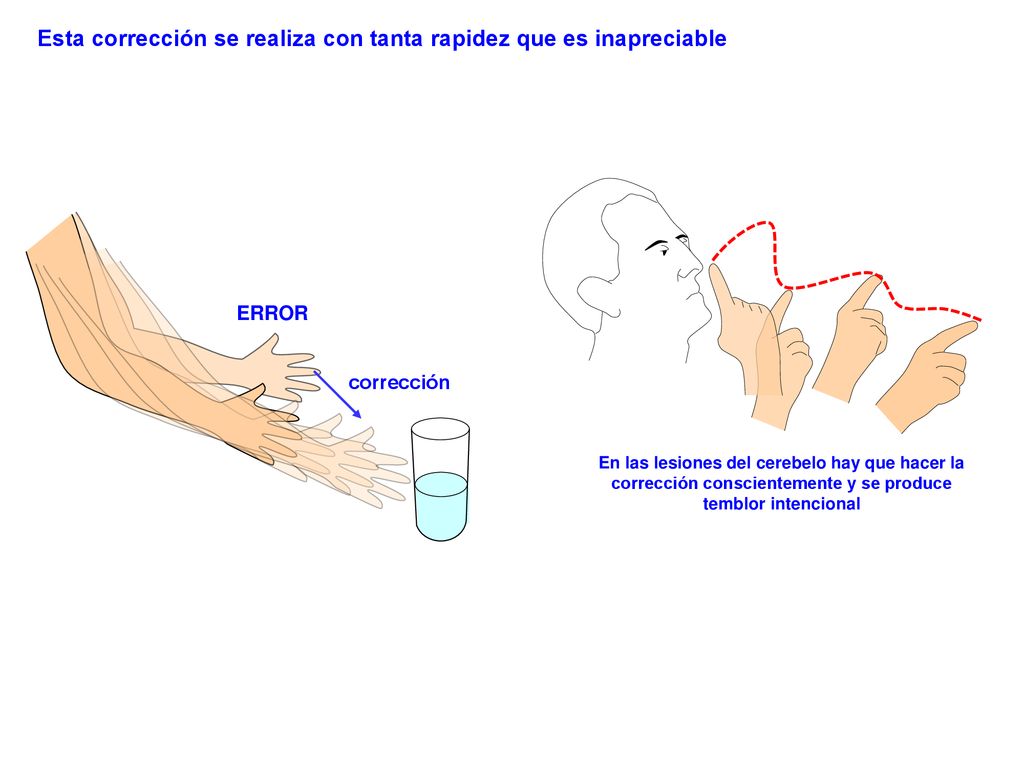 Esta corrección se realiza con tanta rapidez que es inapreciable