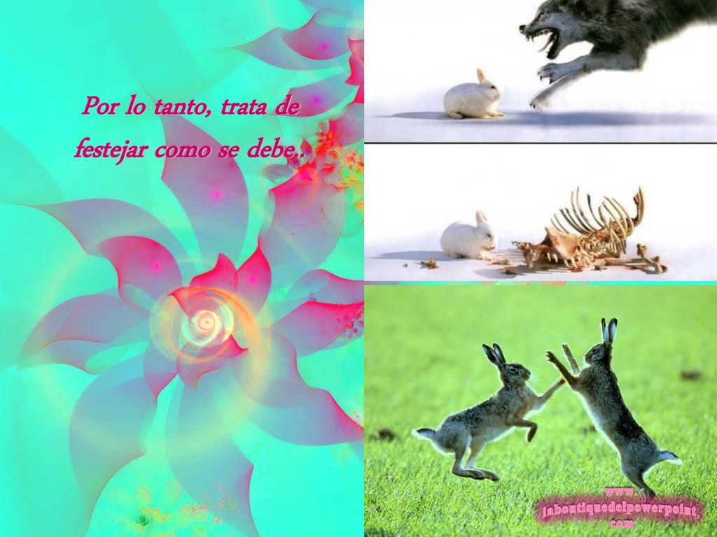 Por lo tanto, trata de festejar como se debe..