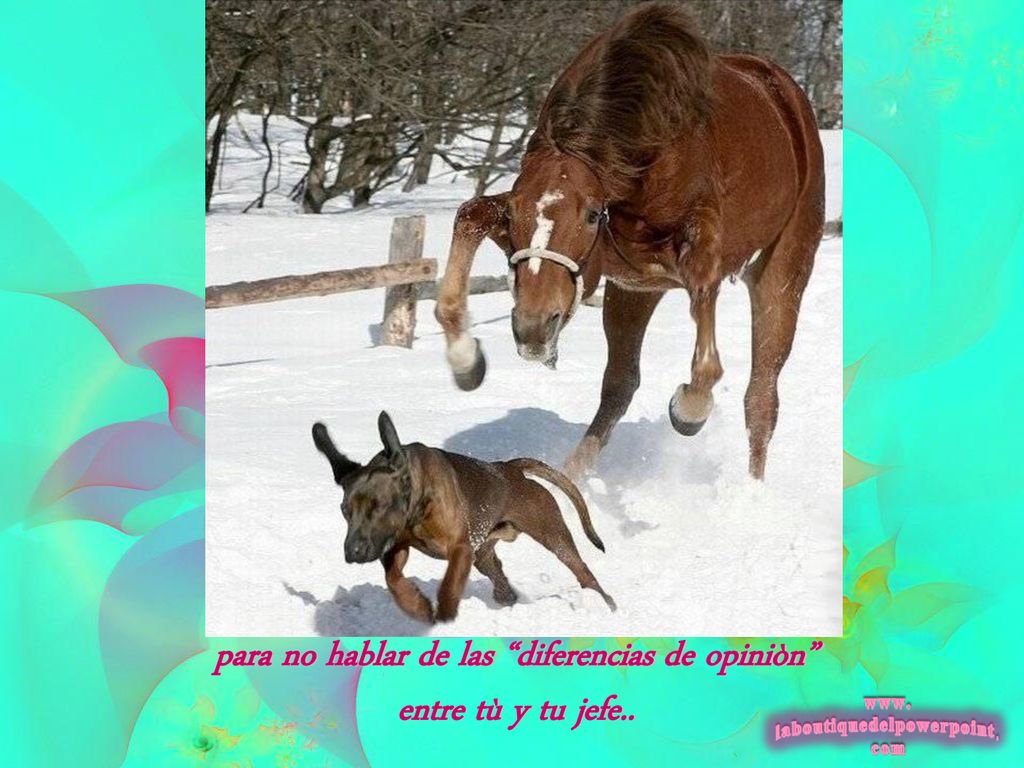 para no hablar de las diferencias de opiniòn entre tù y tu jefe..
