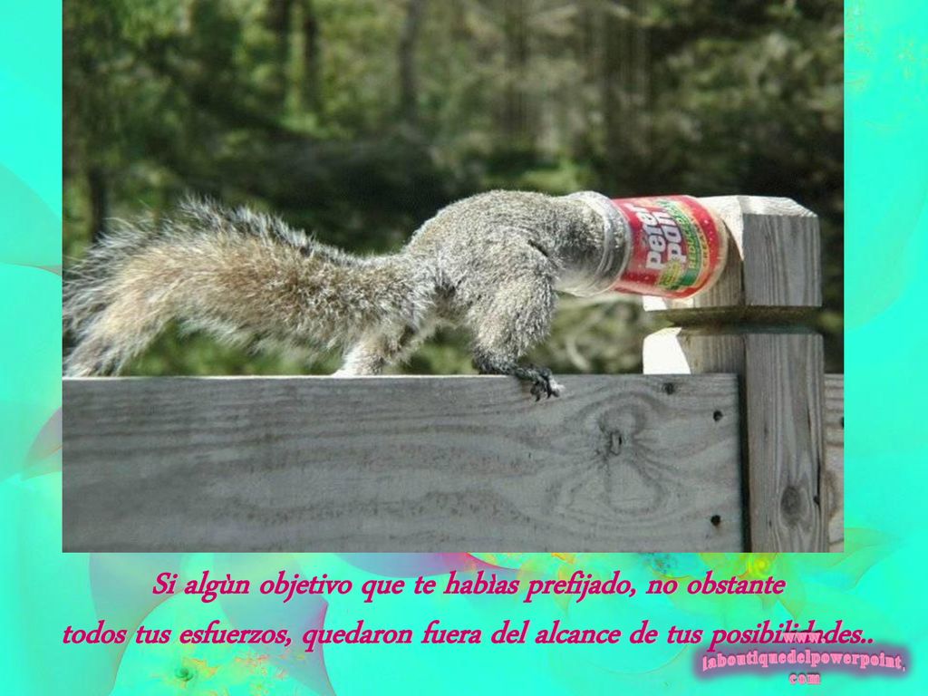 Si algùn objetivo que te habìas prefijado, no obstante todos tus esfuerzos, quedaron fuera del alcance de tus posibilidades..