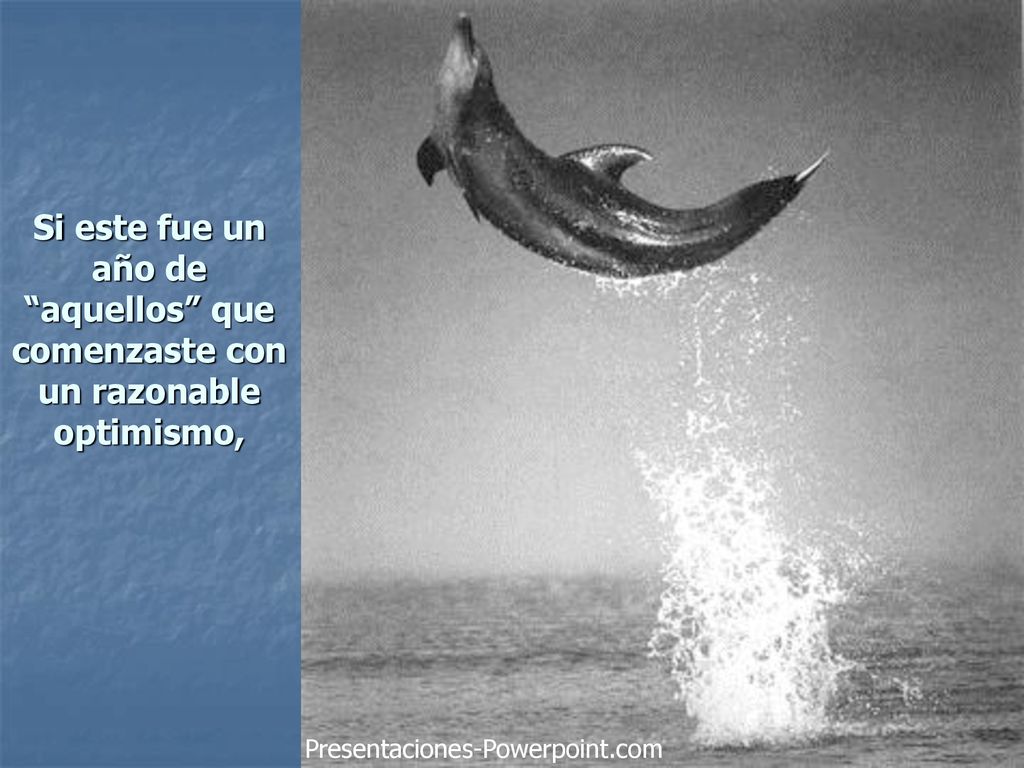 Si este fue un año de aquellos que comenzaste con un razonable optimismo,