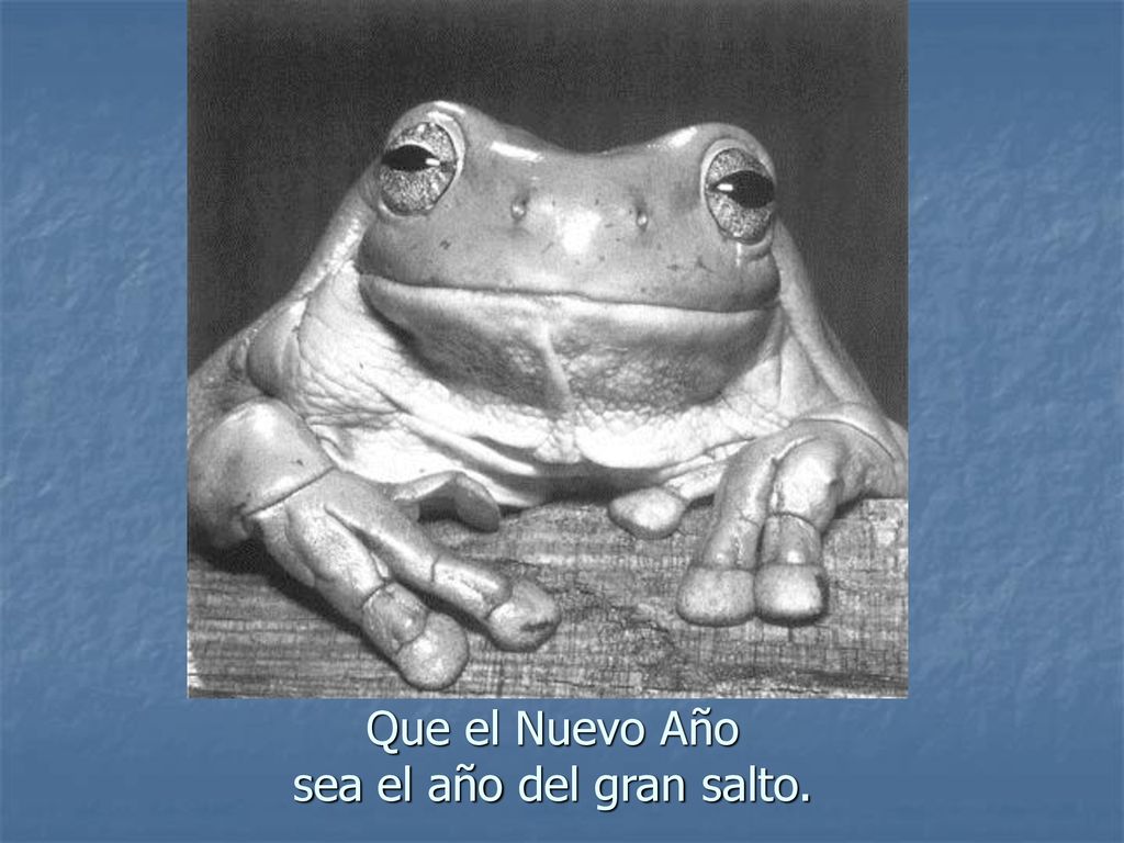 Que el Nuevo Año sea el año del gran salto.