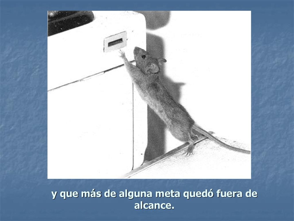 y que más de alguna meta quedó fuera de alcance.