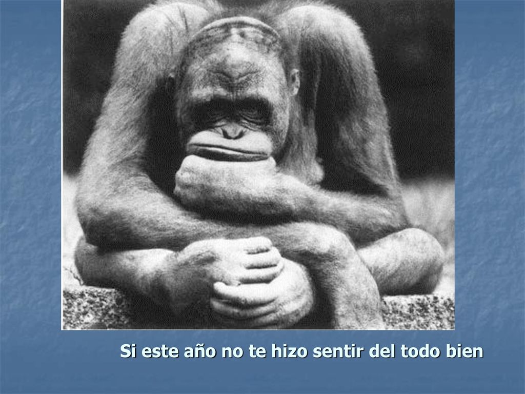 Si este año no te hizo sentir del todo bien