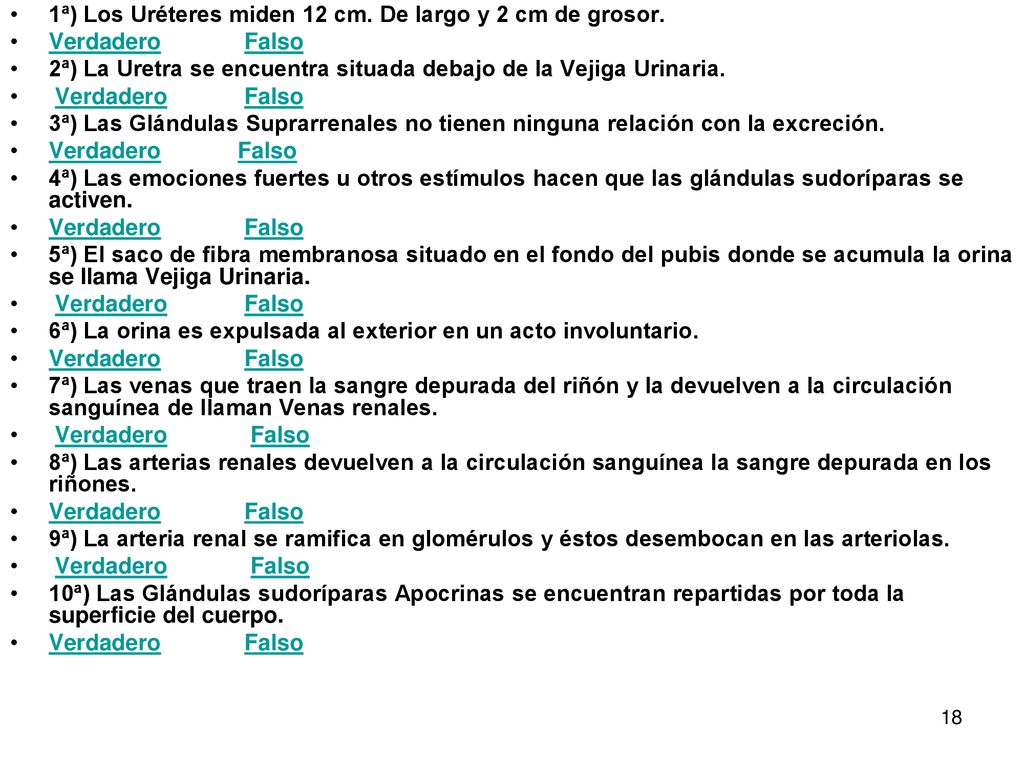 1ª) Los Uréteres miden 12 cm. De largo y 2 cm de grosor.