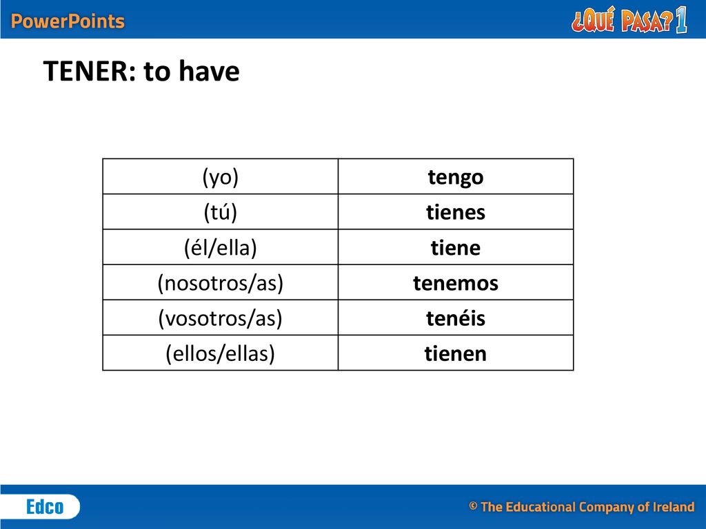 TENER: to have (yo) tengo (tú) tienes (él/ella) tiene (nosotros/as)