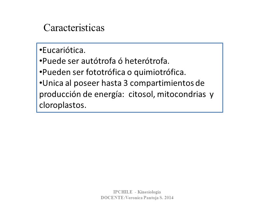 IPCHILE - Kinesiologia DOCENTE:Veronica Pantoja S. 2014