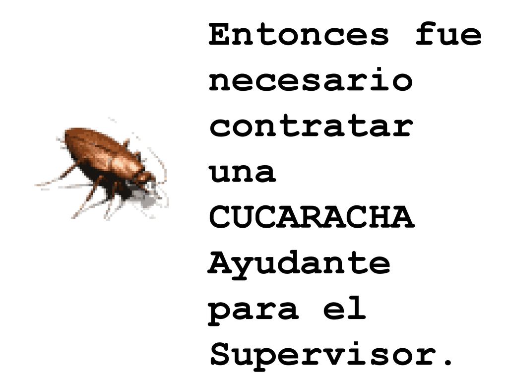 Entonces fue necesario contratar una CUCARACHA Ayudante para el Supervisor.