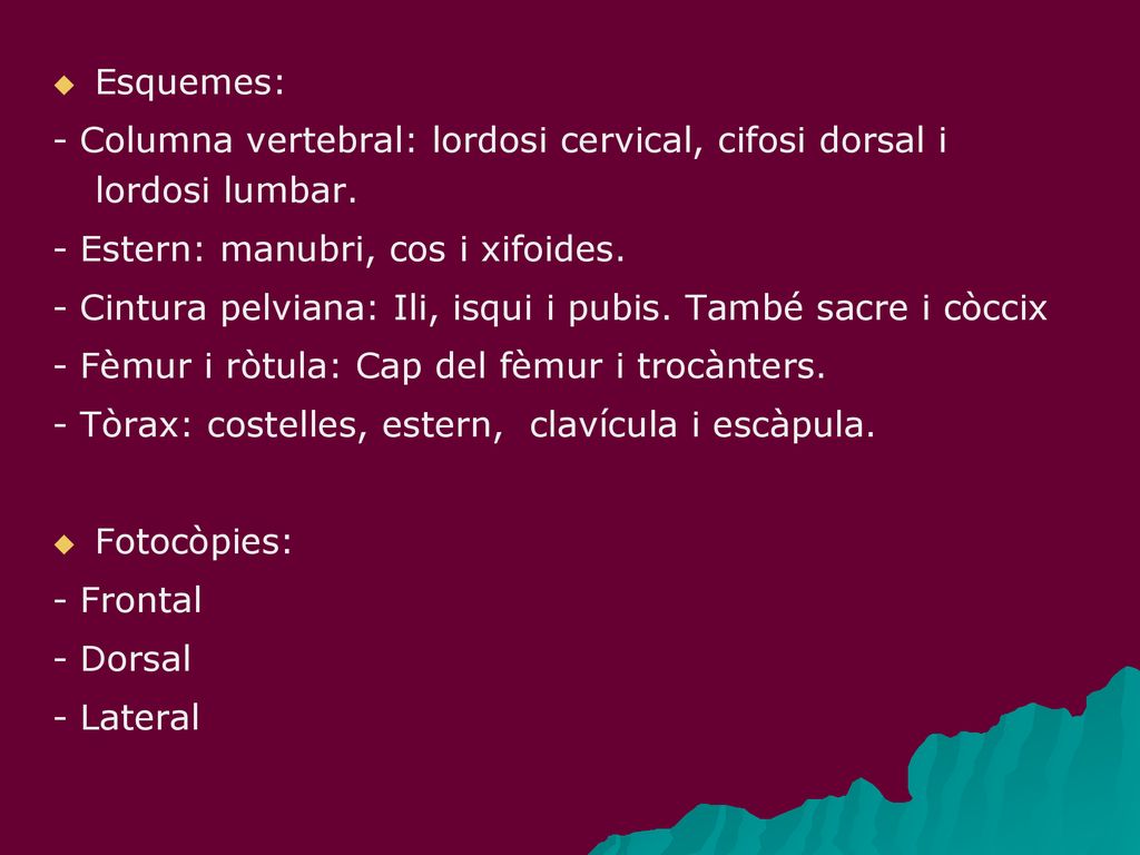 Esquemes: - Columna vertebral: lordosi cervical, cifosi dorsal i lordosi lumbar. - Estern: manubri, cos i xifoides.