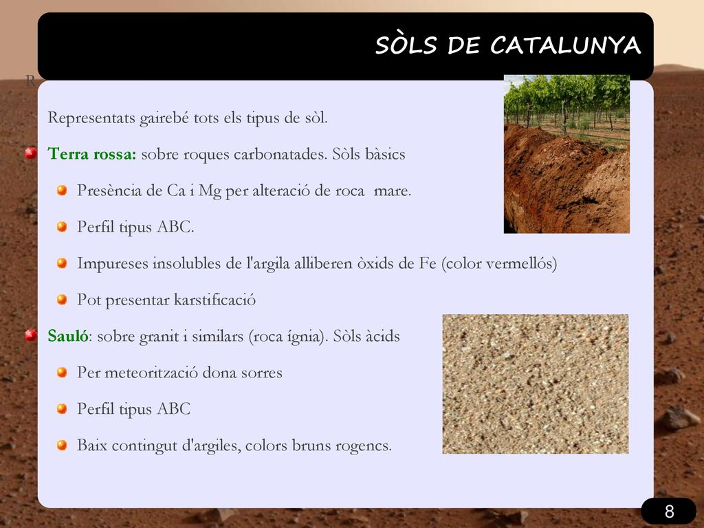 SÒLS DE CATALUNYA R Representats gairebé tots els tipus de sòl.