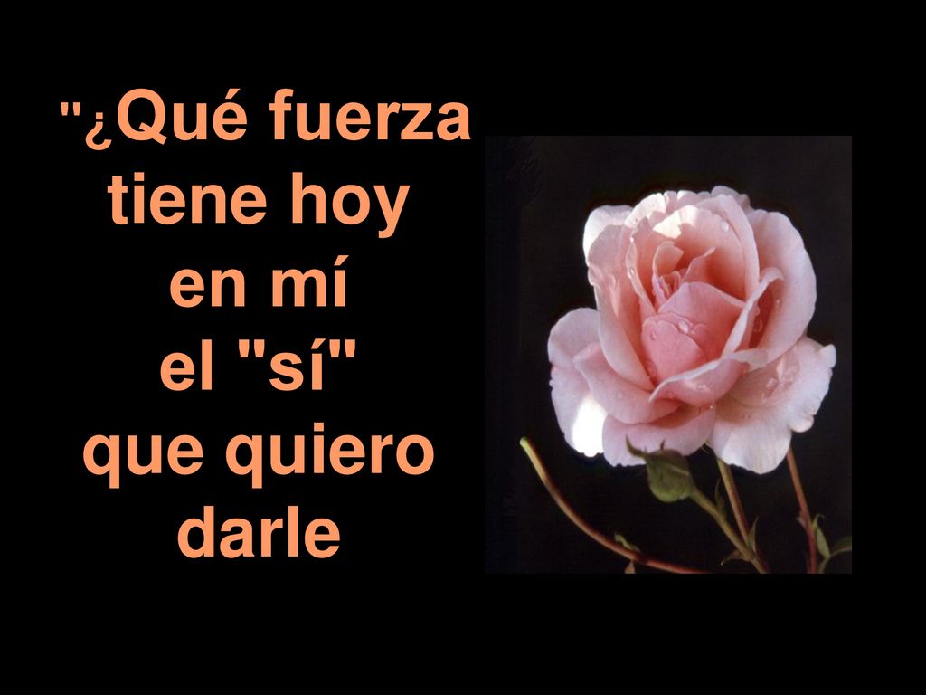 ¿Qué fuerza tiene hoy en mí el sí que quiero darle