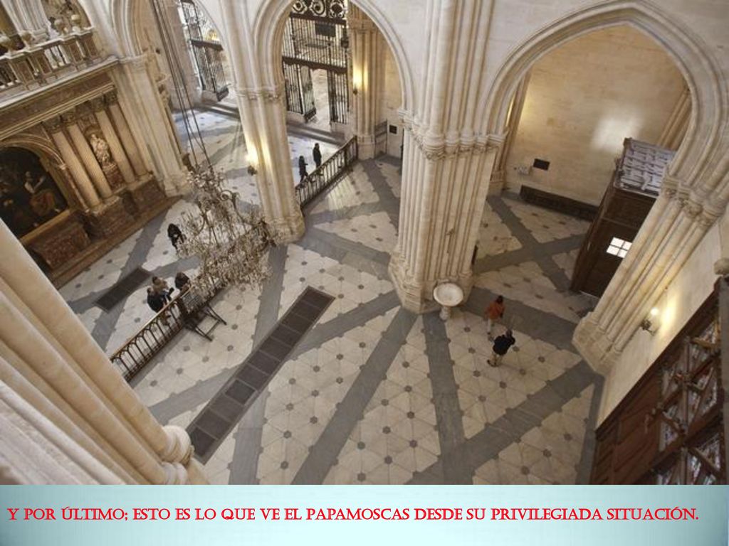 Y por último; esto es lo que ve el Papamoscas desde su privilegiada situación.