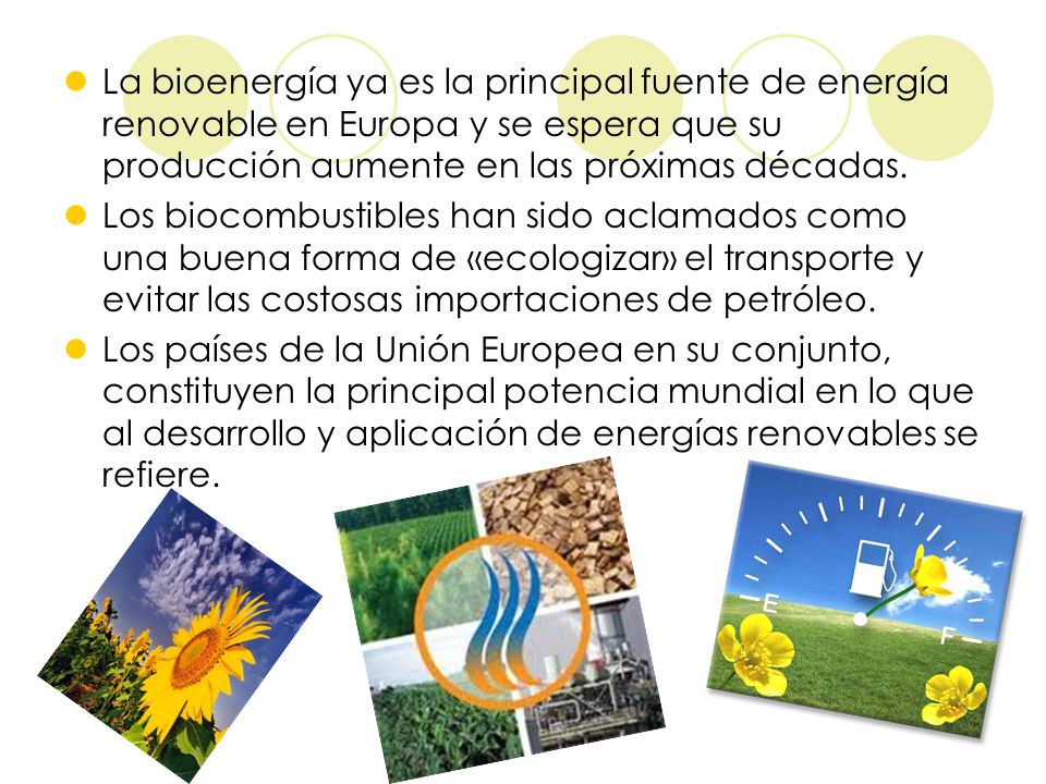 La bioenergía ya es la principal fuente de energía renovable en Europa y se espera que su producción aumente en las próximas décadas.