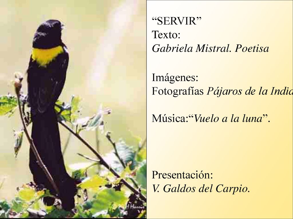 SERVIR Texto: Gabriela Mistral. Poetisa. Imágenes: Fotografías Pájaros de la India. Música: Vuelo a la luna .