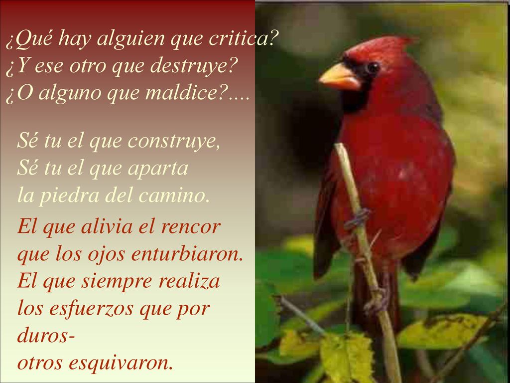 ¿Y ese otro que destruye ¿O alguno que maldice ....