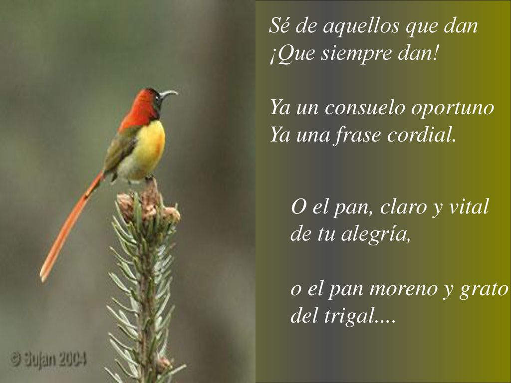 Sé de aquellos que dan ¡Que siempre dan! Ya un consuelo oportuno. Ya una frase cordial. O el pan, claro y vital.
