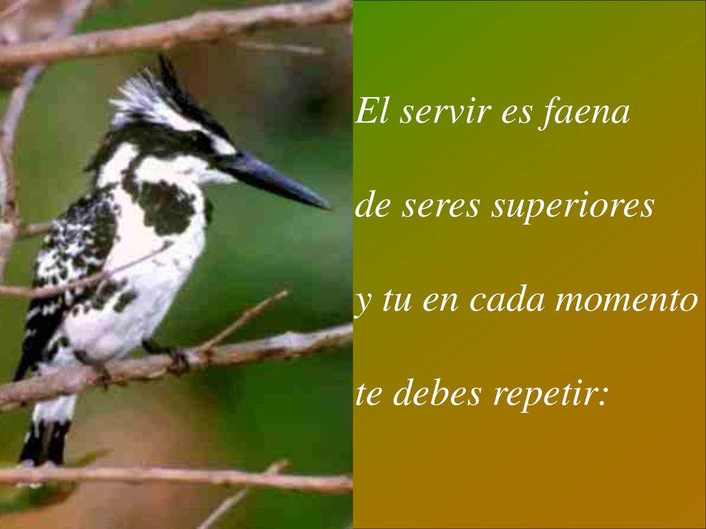 El servir es faena de seres superiores y tu en cada momento te debes repetir: