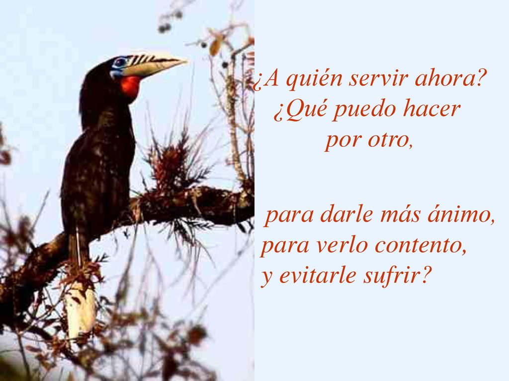 ¿A quién servir ahora ¿Qué puedo hacer por otro, para verlo contento,