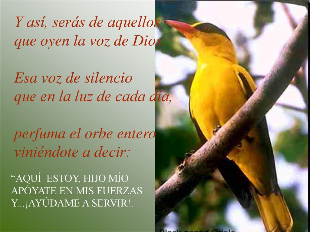 Y así, serás de aquellos que oyen la voz de Dios. Esa voz de silencio