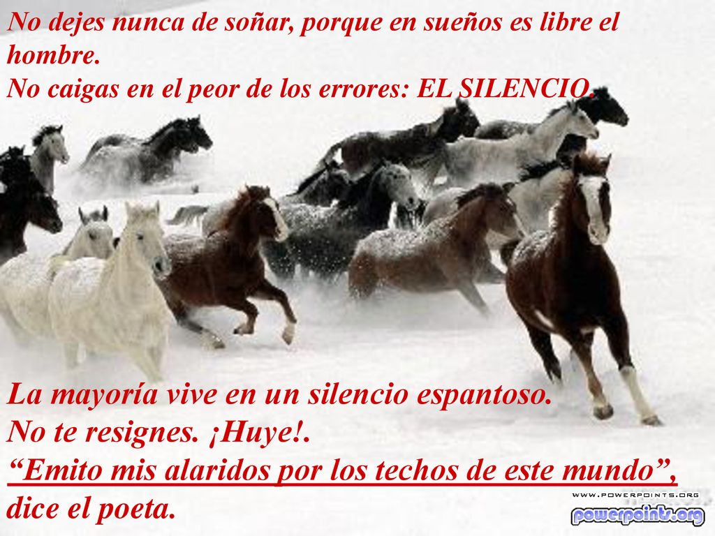 La mayoría vive en un silencio espantoso. No te resignes. ¡Huye!.