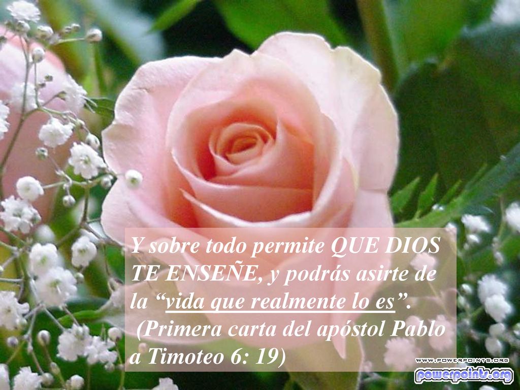 Y sobre todo permite QUE DIOS TE ENSEÑE, y podrás asirte de la vida que realmente lo es .