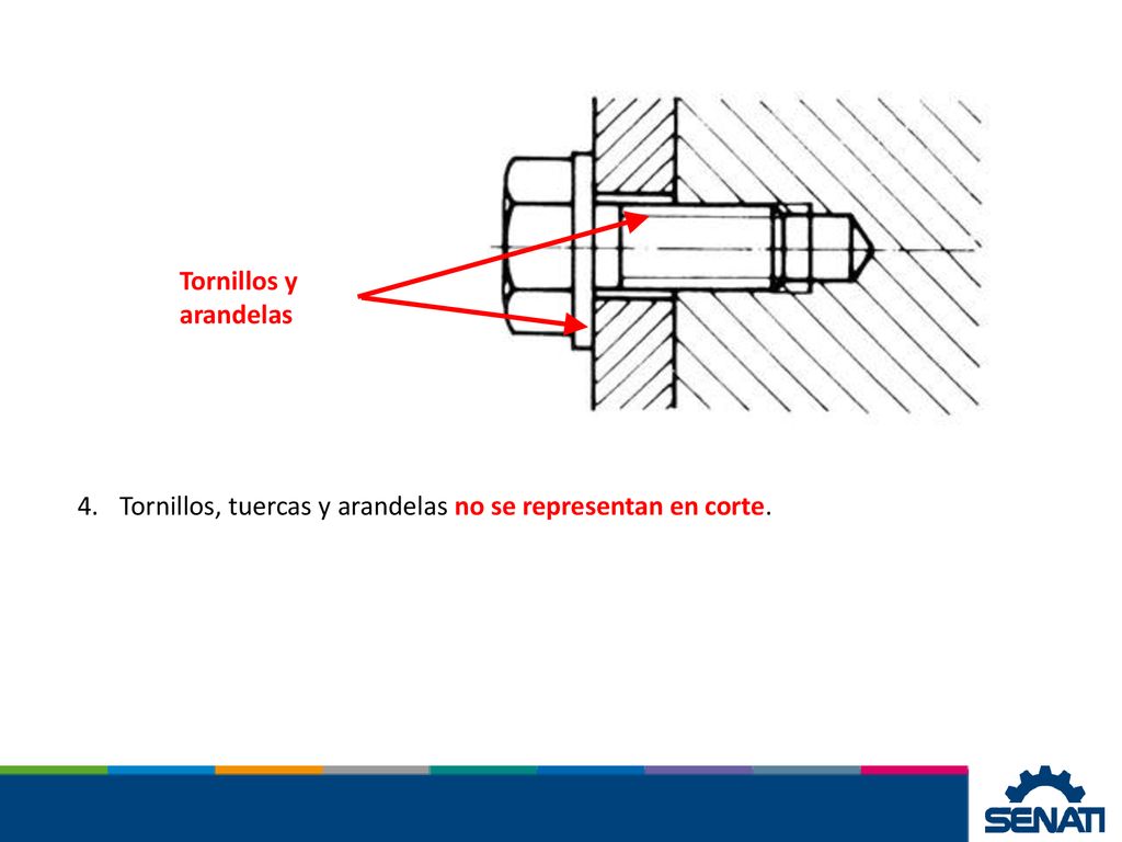 Tornillos y arandelas Tornillos, tuercas y arandelas no se representan en corte.