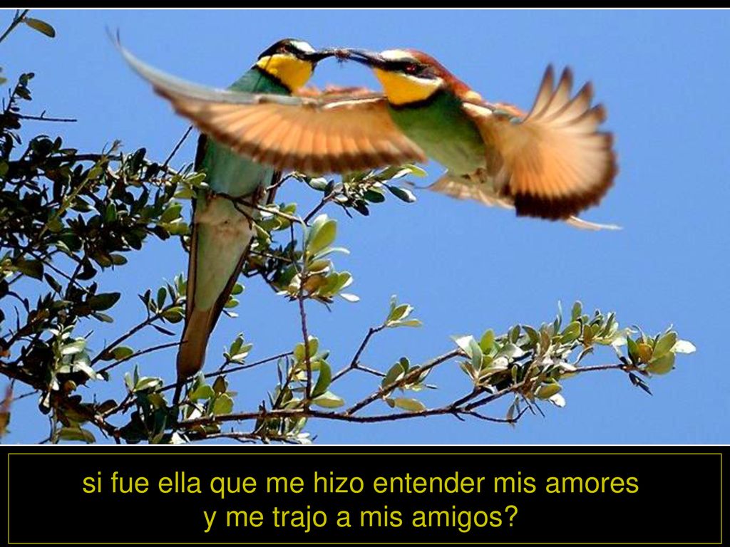 si fue ella que me hizo entender mis amores