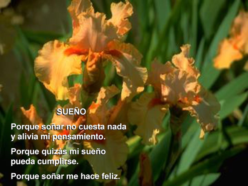SUEÑO Porque soñar no cuesta nada y alivia mi pensamiento. Porque quizás mi sueño pueda cumplirse.