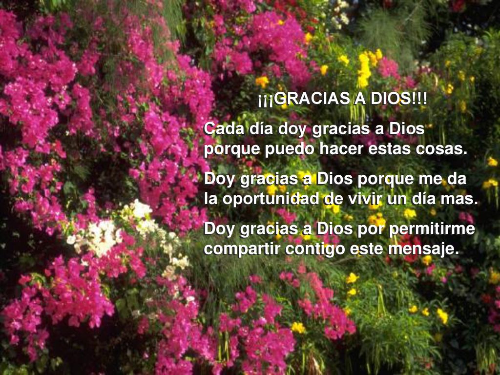 ¡¡¡GRACIAS A DIOS!!! Cada día doy gracias a Dios porque puedo hacer estas cosas. Doy gracias a Dios porque me da la oportunidad de vivir un día mas.
