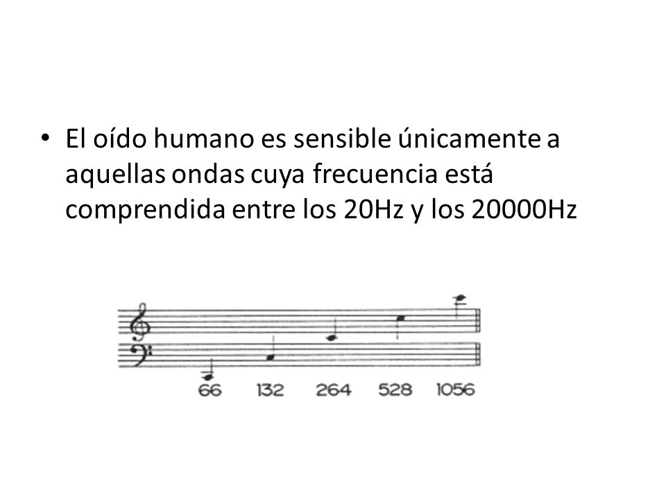 El oído humano es sensible únicamente a aquellas ondas cuya frecuencia está comprendida entre los 20Hz y los 20000Hz