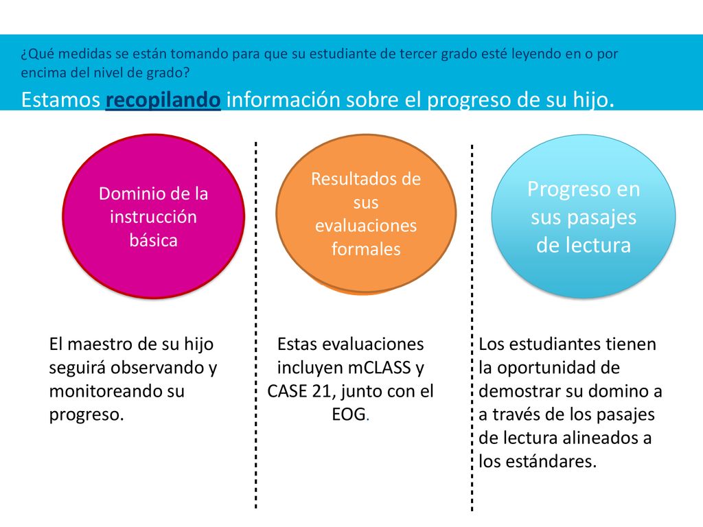 Estamos recopilando información sobre el progreso de su hijo.