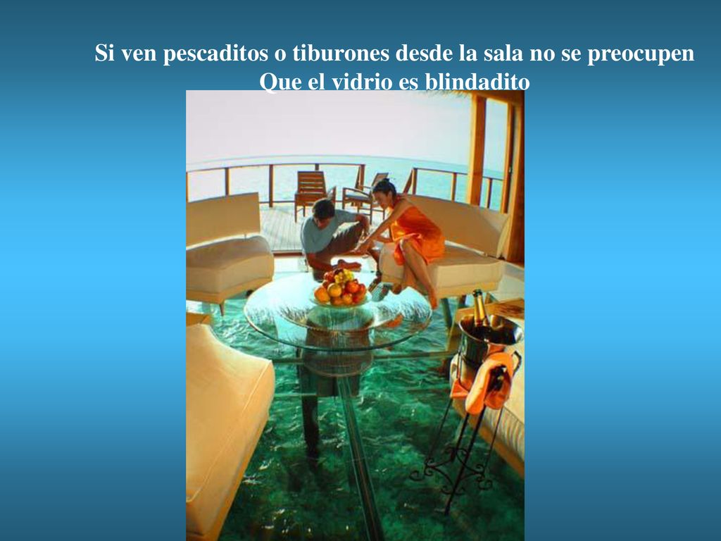 Si ven pescaditos o tiburones desde la sala no se preocupen