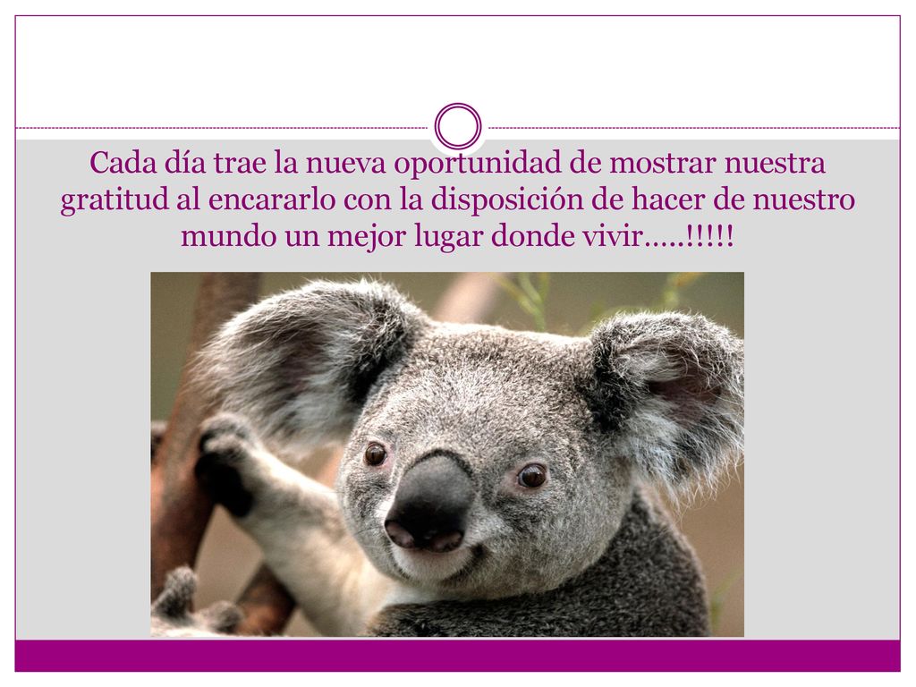 Cada día trae la nueva oportunidad de mostrar nuestra gratitud al encararlo con la disposición de hacer de nuestro mundo un mejor lugar donde vivir…..!!!!!