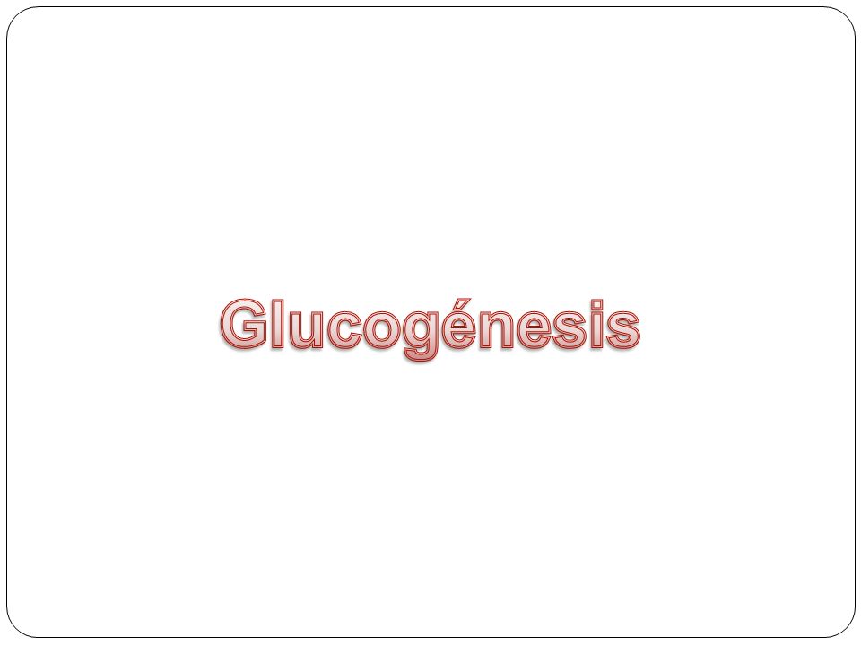 Glucogénesis