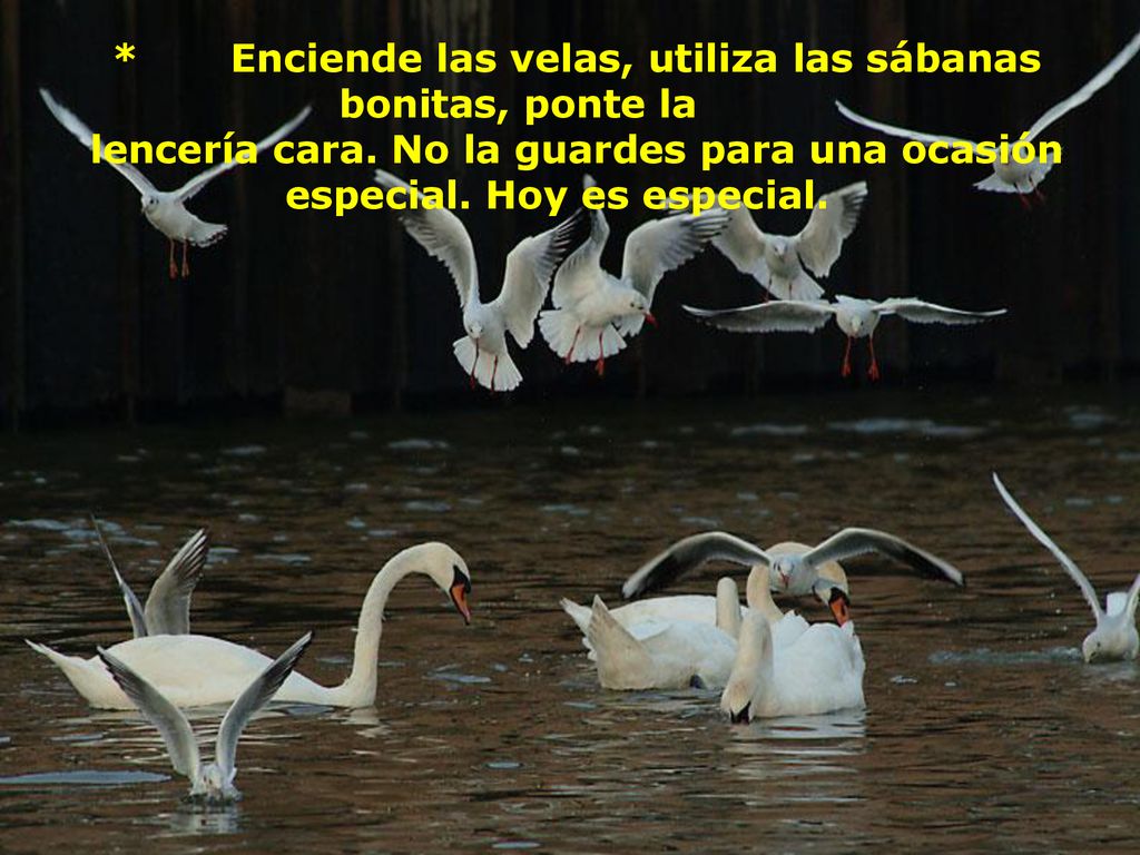 * Enciende las velas, utiliza las sábanas bonitas, ponte la lencería cara.