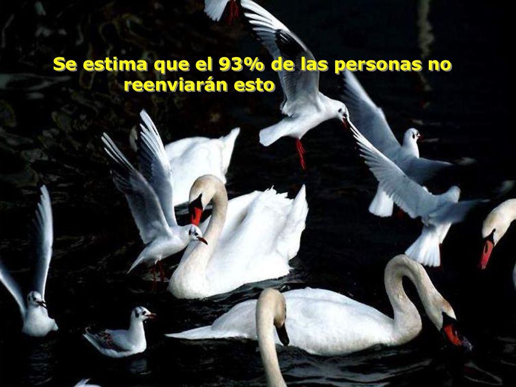 Se estima que el 93% de las personas no reenviarán esto