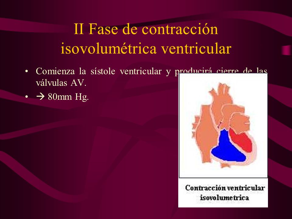 II Fase de contracción isovolumétrica ventricular