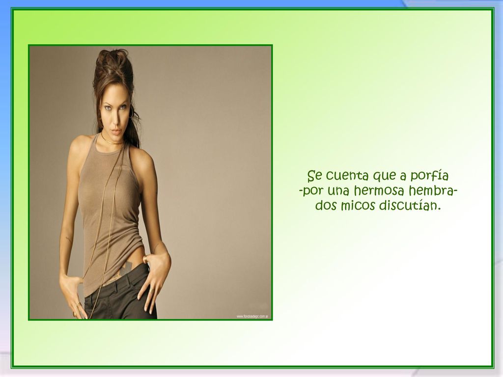 Se cuenta que a porfía -por una hermosa hembra- dos micos discutían.