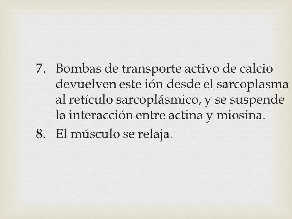 Bombas de transporte activo de calcio devuelven este ión desde el sarcoplasma al retículo sarcoplásmico, y se suspende la interacción entre actina y miosina.