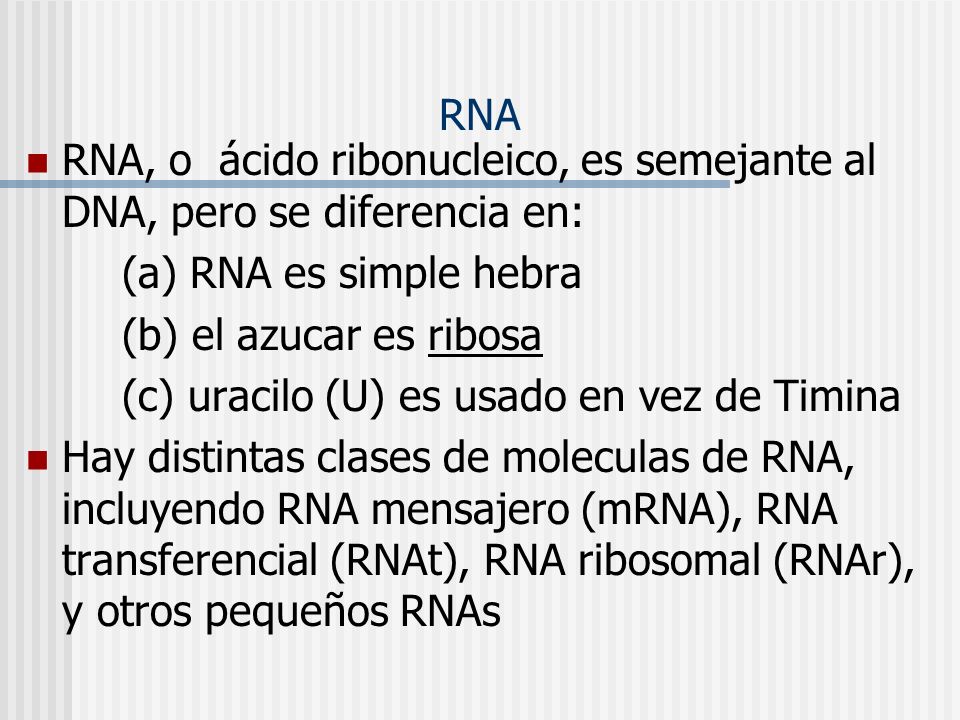 RNA RNA, o ácido ribonucleico, es semejante al DNA, pero se diferencia en: (a) RNA es simple hebra.