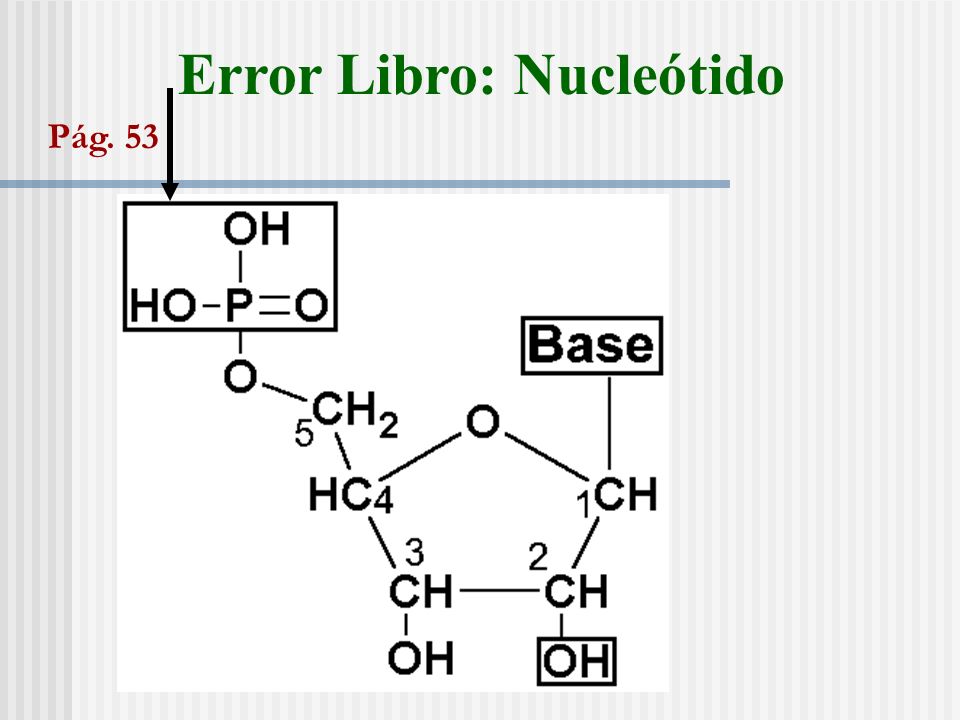 Error Libro: Nucleótido