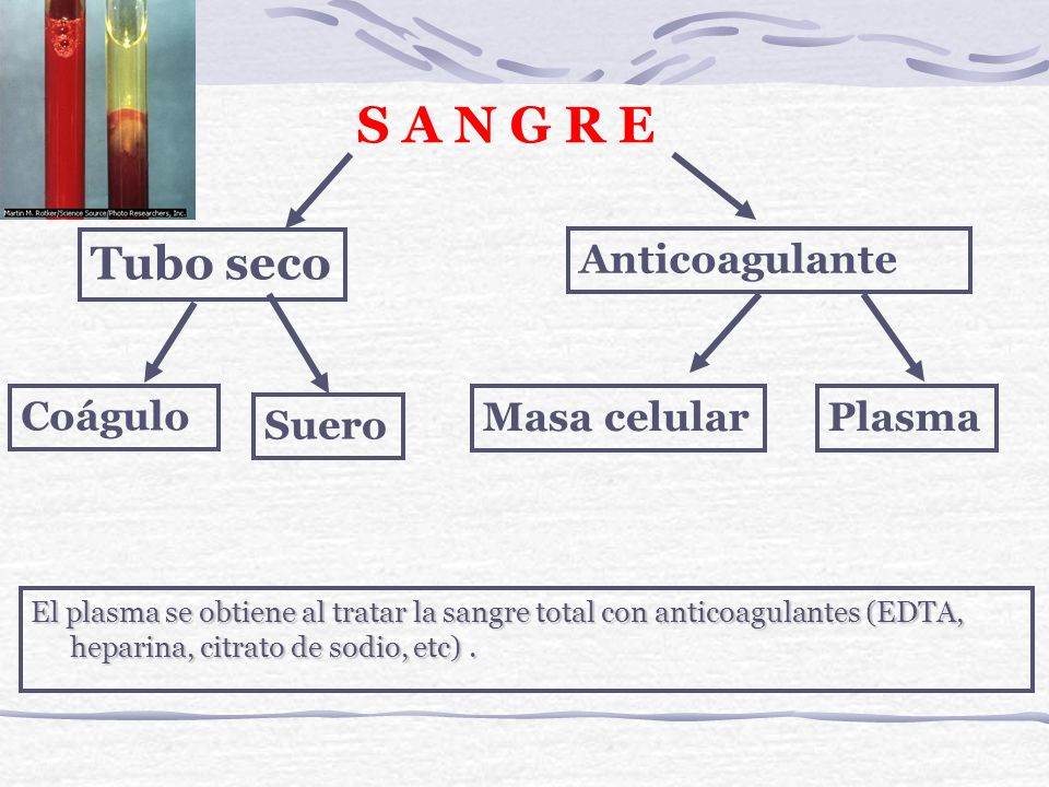 S A N G R E Tubo seco Anticoagulante Coágulo Masa celular Plasma Suero