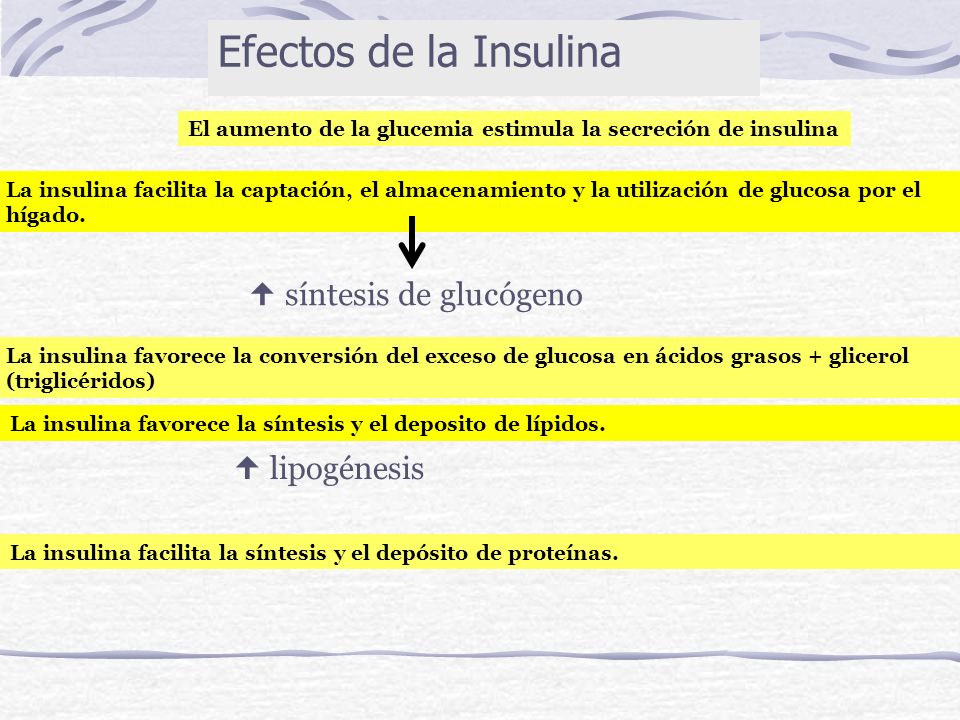 El aumento de la glucemia estimula la secreción de insulina
